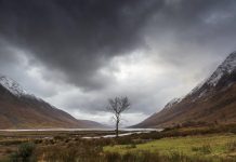 The Best Ways to Use Concealer for a Flawless Complexion The Best Ways to Use Concealer for a Flawless Complexion