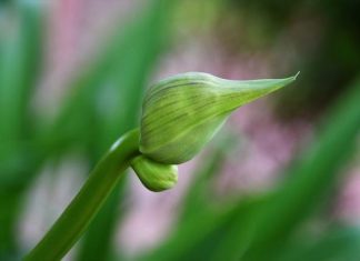 How to Prevent Premature Aging With Simple Skincare Adjustments How to Prevent Premature Aging With Simple Skincare Adjustments