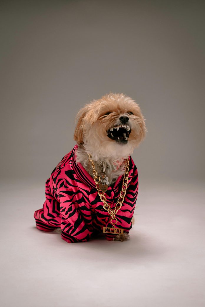 How to Rock Animal Prints Without Looking Over-the-Top