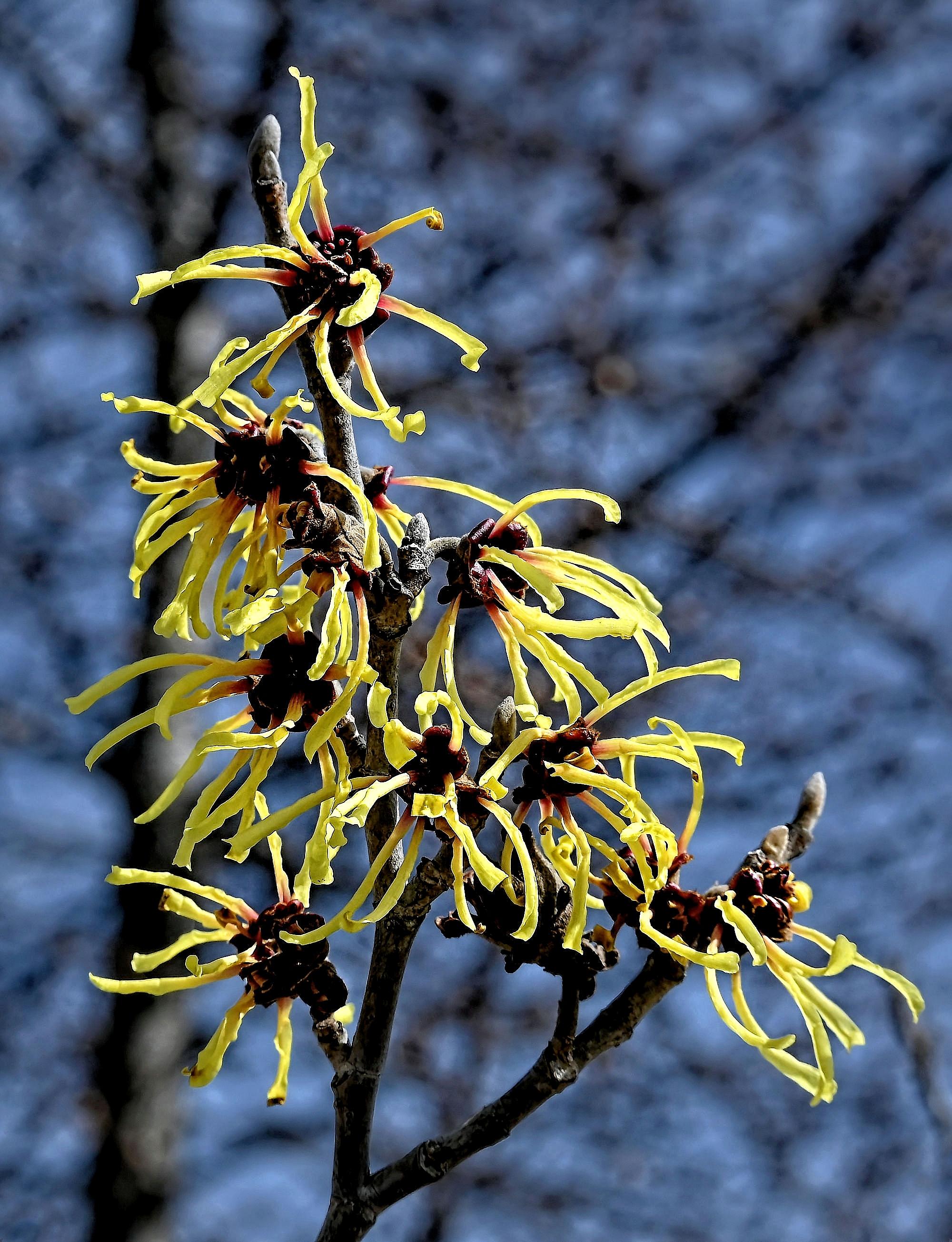 Key Ingredients to Look for in Effective⁣ Moisturizers