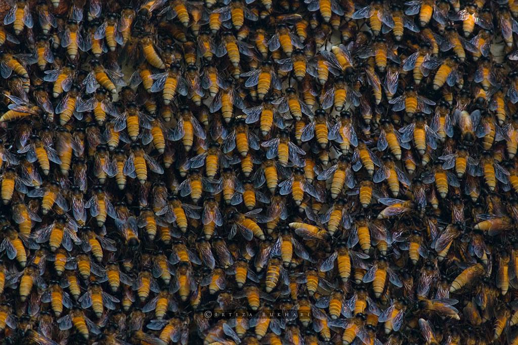 Combining Face Oils with Your Skincare Routine