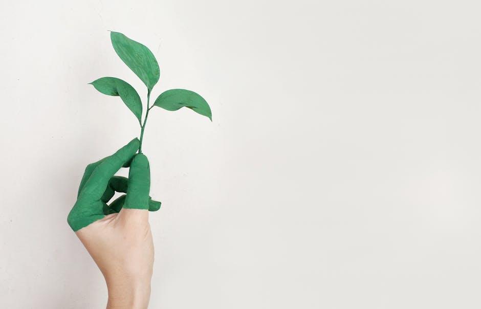 Crafting a Strategy for Sustainable Fashion Appeal